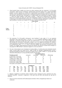 Esame di Genetica del 2/4/2007 ( Scienze Biologiche NO)
