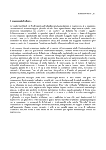 Presentazione - TERM