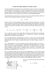 Moto di una carica in un campo magnetico