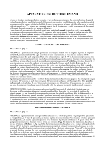 Apparato riproduttore