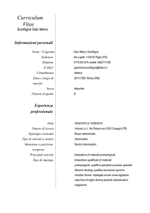 Curriculum Vitae Scarfagna Gian Marco Informazioni personali