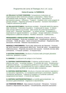 Programma del corso