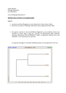 Morello_Ylenia_report biomol2