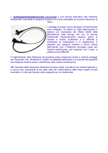 gastroscopia transnasale