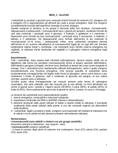 MOD_3 : GLUCIDI I carboidrati (o zuccheri o glucidi) sono composti