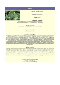 Ginkgo - Farmacia S. Antonio – Brescia