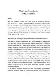 penicilline - Università di Catanzaro Facoltà di Farmacia