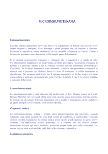 Il sistema immunitario Il nostro sistema immunitario serve alla difesa