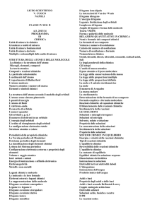 LICEO SCIENTIFICO