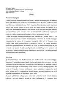 canali - Dipartimento di Farmacologia ed Anestesiologia