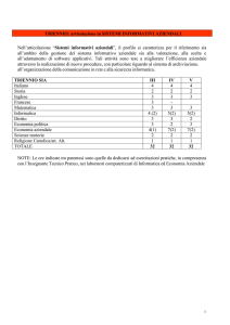 Triennio: articolazione in SISTEMI INFORMATIVI AZIENDALI