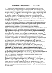la toxoplasmosi