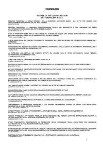 allegato