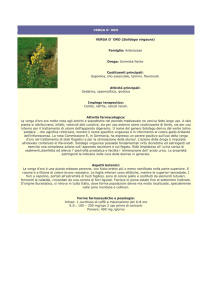 verga d´oro - Farmacia S. Antonio – Brescia