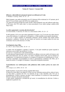 allegato