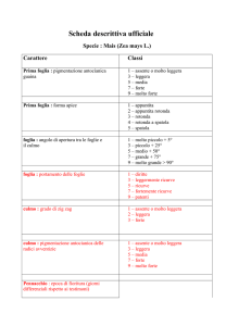 Scheda descrittiva ufficiale