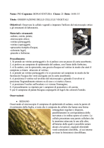 File - Pio bonaventura