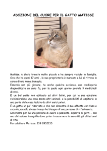 super adozione del cuore