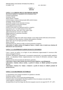 Programma di fisica e laboratorio - IIS E. De Nicola