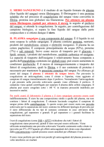 siero e plasma sanguigno