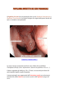 Papilloma invertito