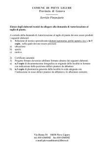 Elenco degli elaborati tecnici da allegare alla domanda di