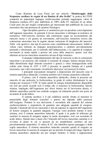 Contributo di Giovanni Paterni