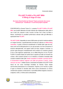 fillast flash e bra