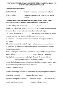 VERIFICA DI SCIENZE : STRATEGIE ADOTTATE DA PIANTE E