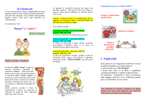 Colesterolo - Avis Albairate