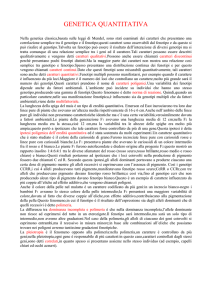 genetica quantitativa