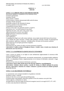 Programma di fisica e laboratorio
