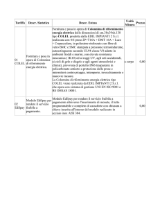 Tariffa Descr. Sintetica Descr. Estesa Unità Misura Prezzo 1 01