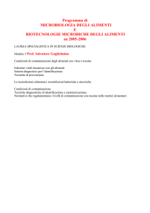 Programma di