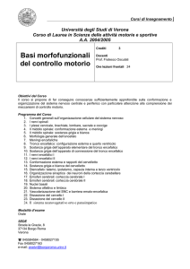 Programma a.a. 2004/05 - univr dsnm