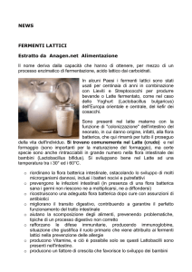 newsfermentilattici