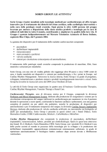SORIN GROUP: LE ATTIVITA`