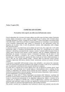 Scoperta causa dell`emicrania cronica