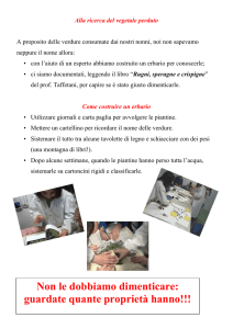 Alla ricerca del vegetale perduto