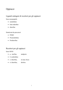 Farmacologia del sistema oppioide e delle