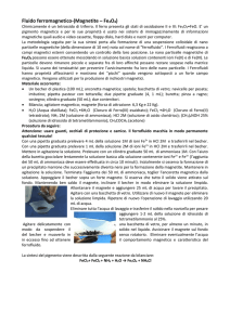 Fluido ferromagnetico