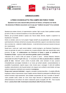 Comunicato Stampa