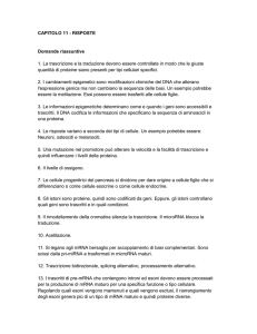 Capitolo_11