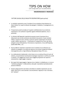 Fattori casuali delle malattie respiratorie – 1 parte