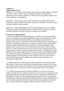 Capitolo_23