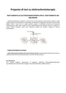 Proposte_di_tesi_su_elettroporazione_07_14