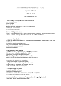LICEO SCIENTIFICO “ R.CACCIOPPOLI “ NAPOLI Programma di