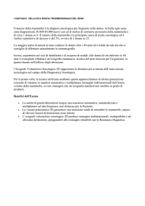 paziente -sul -dovuto -vita dimensioni