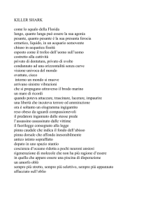 killer shark - Fabrizio Tavernelli