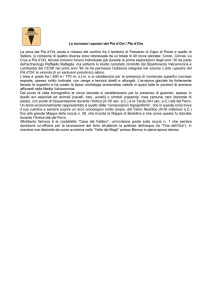 Le incisioni rupestri del Pià d`Ort / Plà d`Ors
